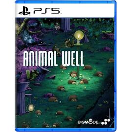 Animal Well (Import/Multi in Language) / PlayStation 5 - PS5 Games - Games - Techbox