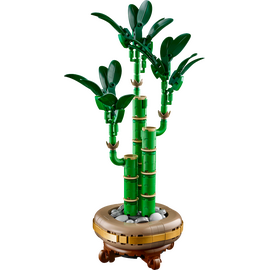 LEGO - Botanicals - Lucky Bamboo (10344) / Toys |  Techbox