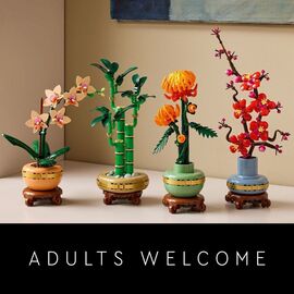 LEGO - Botanicals - Lucky Bamboo (10344) / Toys |  Techbox