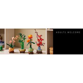 LEGO - Botanicals - Lucky Bamboo (10344) / Toys |  Techbox