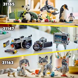 LEGO - LEGO Creator - Typewriter with Flowers (31169) / Toys - Lego - Collectibles - Techbox