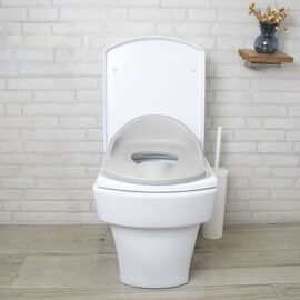 Asalvo - 3 In 1 Baby Ladder Toilet (AV-20710) / Baby and Children