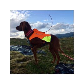 Non-Stop - Protector Vest GPS - Orange - L / Sport and Outdoor
