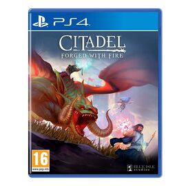 Citadel: Forged with Fire / PlayStation 4 | Techbox