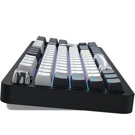 Dark Project - Bushido 87 RGB / Computers