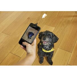 Dog Treat Selfie Clip (DIG01) / Gadgets