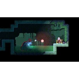 Dunjungle - Premium Edition / Nintendo Switch - Nintendo Switch Games - Games - Techbox