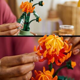 LEGO - Botanicals - Chrysanthemum (10368) / Toys |  Techbox