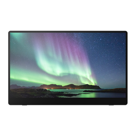 RICOH - Portable Monitor 150BW OLED 15,6'' (Wireless) / Computers