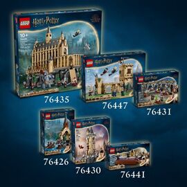 LEGO - Harry Potter TM - Hogwarts Castle: Charms Class (76442) / Toys