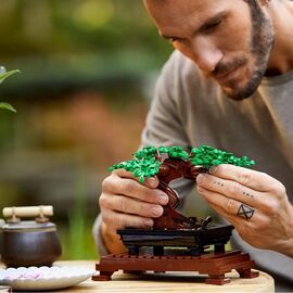 LEGO Creator Expert - Bonsai Tree (10281) / Toys - Lego - Collectibles - Techbox