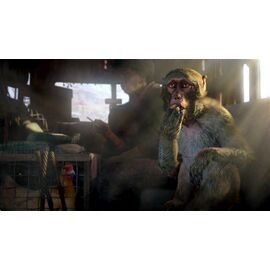 Far Cry 4 (Nordic) / PlayStation 4 - PS4 Games - Games - Techbox