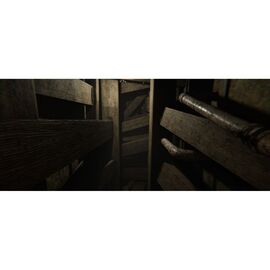 MADiSON - Possessed Edition / PlayStation 4 - PS4 Games - Games - Techbox
