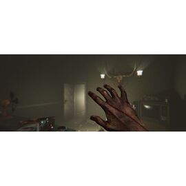 MADiSON - Possessed Edition / PlayStation 4 - PS4 Games - Games - Techbox
