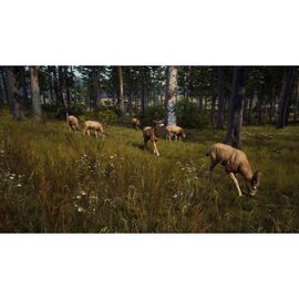 Way of the Hunter / PlayStation 5 | Techbox