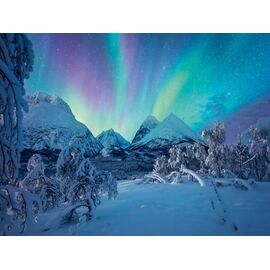 Ravensburger - Puzzle The Arctic Show 1500p (12000802) / Toys