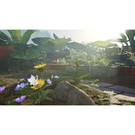 Pikmin 4 / Nintendo Switch | Techbox