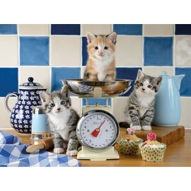 Ravensburger - Cute cats 1500p (12001708) / Toys
