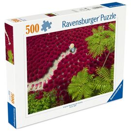Ravensburger - Structures of Nature 500p (12001707) / Toys