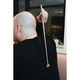 Extendable Back Scratcher (BS001) / Gadgets