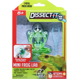 Sensory Compounds - Frog In Giftbox (12-38083) / Toys