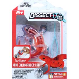 Sensory Compounds - Salamander In Giftbox (12-38085) / Toys