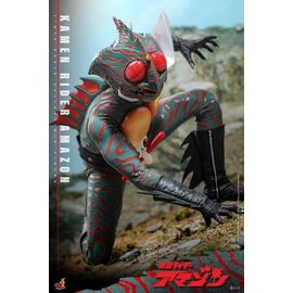 Kamen Rider Amazon 1/6 Amazon (Daisuke Yamamoto) 30 cm |  Techbox