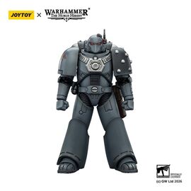 Warhammer The Horus Heresy Action Figure Space Wolves MKVI Tactical Legionary 12 cm |  Techbox