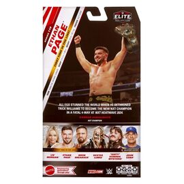 WWE Elite Collection Action Figure Ethan Page 15 cm |  Techbox