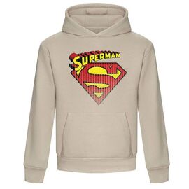 DC Comics Hooded Sweater Superman Classic Logo Size S |  Techbox