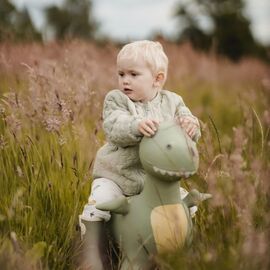 Find that hippo - Jumping animal - dinon (53100101) / Toys