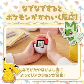 Pokemon Friends Pokeball / Video Games and Consoles