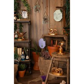 Harry Potter Herbology photo frame
