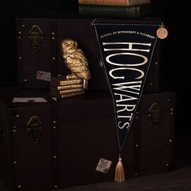 Harry Potter Hogwarts hanging banner