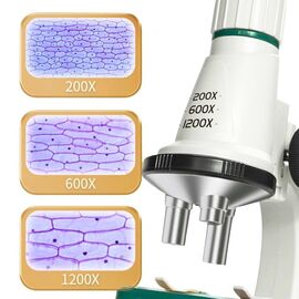 4-Kids - LED Microscope (43604) / Toys