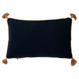 Harry Potter Potions Class velvet cushion