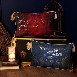 Harry Potter Potions Class velvet cushion