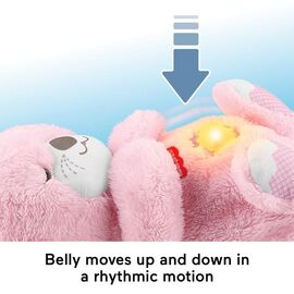Fisher-Price - Newborn - Soothe 'n Snuggle Otter (JLJ33) / Toys