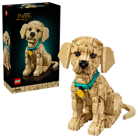 LEGO - Icons - Golden Retriever Puppy (11384) / Toys