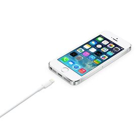 Apple Lightning to USB Cable (2 m) - Cables & Adapters - Cables & Accessories - Techbox