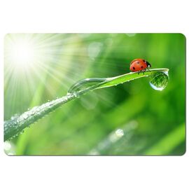 Esperanza EA133 mouse pad Multicolor - MousePads - Keyboards & Mice - Techbox
