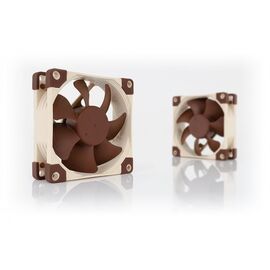 Noctua NF-A8 ULN computer cooling system Computer case Fan 8 cm Beige, Brown | Techbox