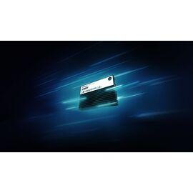 Kingston Technology 3.84TB DC3000ME U.2 PCIe 5.0 NVMe TCG Opal Enterprise SSD | Techbox
