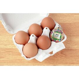 TAMAGOTCHI - ECO CELEBRATION EGG |  Techbox
