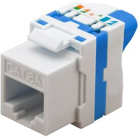 Techly CAT 6a KeyStone RJ45 Jack UTP unshielded Tooless IWP-MD C6A/UROTT - Electricity - More Products - Techbox