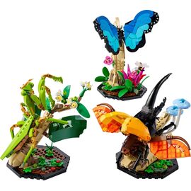 LEGO IDEAS 21342 The Insect Collection |  Techbox