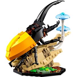 LEGO IDEAS 21342 The Insect Collection |  Techbox