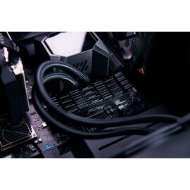 Kingston Technology FURY 16GB 3600MT/s DDR4 CL16 DIMM 1Gx8 Renegade Black - DIMM (Desktop) - RAM - Techbox