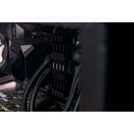 Kingston Technology FURY 16GB 3600MT/s DDR4 CL16 DIMM 1Gx8 Renegade Black - DIMM (Desktop) - RAM - Techbox