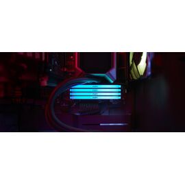 Kingston Technology FURY 16GB 3600MT/s DDR4 CL17 DIMM (Kit of 2) Beast RGB - DIMM (Desktop) - RAM - Techbox